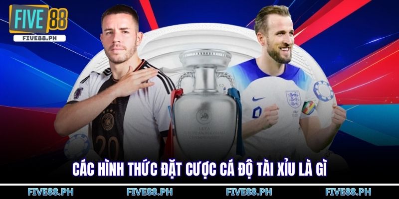 cá độ tài xỉu là gì